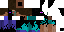 Texture for enderrobot