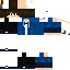 Texture for pv2