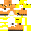 Texture for ABDL raichu v3