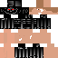 Texture for Terminator