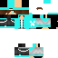 Texture for steve