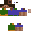 Texture for steve