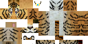 Texture for Tobby