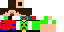 Texture for Steve 224
