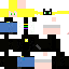Texture for miraculus blacke cat