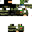 Texture for Mexico military