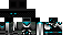 Texture for Diamond Gaurdian By Tex