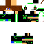 Texture for steve