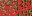 Texture for www3221