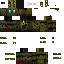 Texture for GoldenSmr