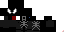 Texture for SPIDER