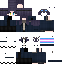 Texture for Sauda Winter