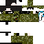 Texture for S