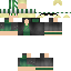 Texture for diego