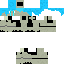 Texture for Phoenix