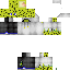 Texture for Sponge077
