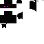 Texture for ender