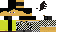 Texture for model