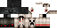Texture for pre_minator