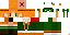 Texture for task_1029
