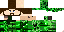 Texture for kapibara