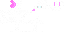 Texture for Pink &White Bunny