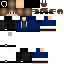 Texture for mestermc