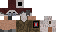 Texture for Survivor