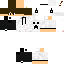 Texture for David