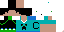 Texture for csacasc