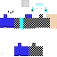 Texture for _Polar_Bear_