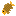 Texture for Carp