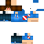 Texture for ZEROPOR2