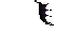 Texture for end wings