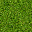 Texture for nether grass