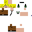 Texture for benedekSK