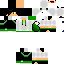 Texture for steve