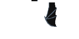 Texture for Ender Dragon Wings 256x128 elytra wings