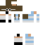 Texture for dsmp 2