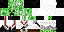Texture for SUPER creeer2