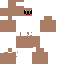 Texture for くま君