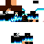 Texture for Steve