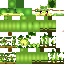 Texture for Sapo