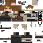 Texture for apocalypse meow