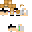 Texture for becz saved working 1