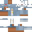 Texture for ліон