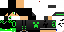 Texture for ErikBag