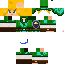 Texture for Link