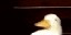 Texture for quak