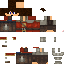 Texture for _16_
